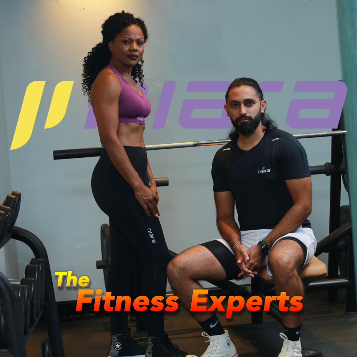 the fitness experts